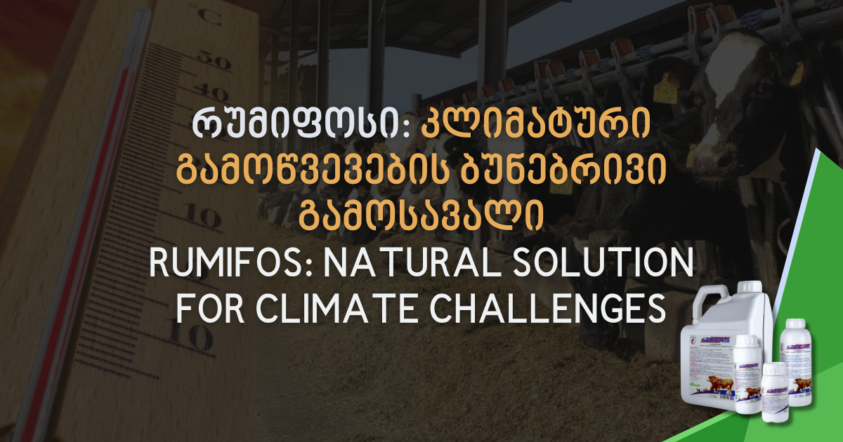 RUMIFOS: A Natural Shield Against Climate Stress