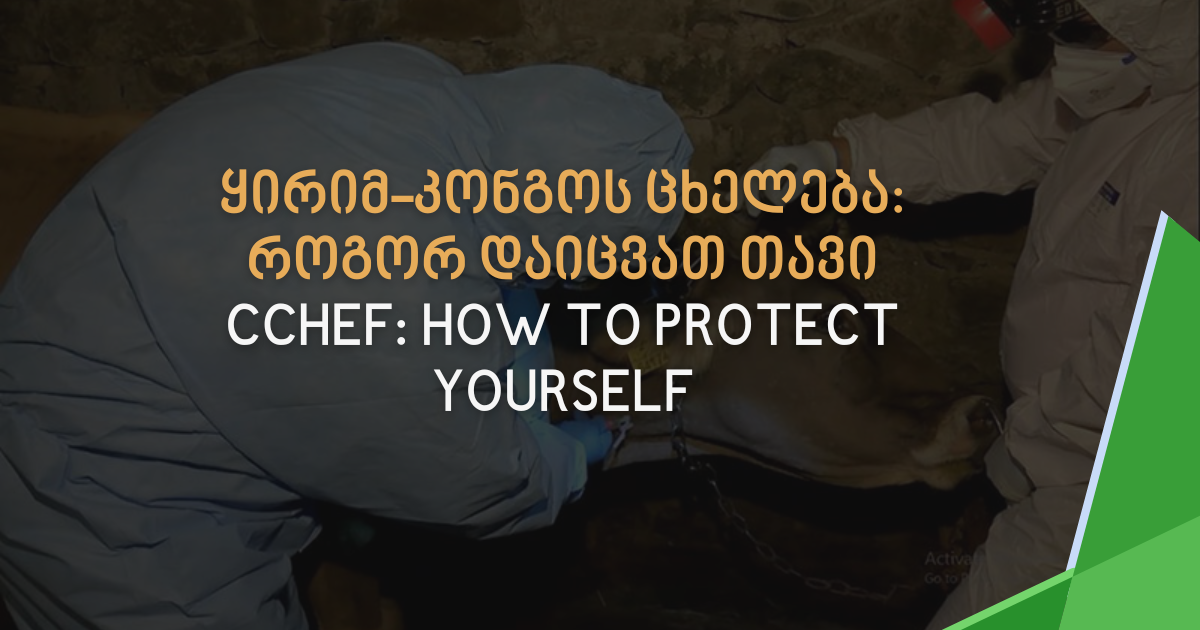 Crimean-Congo Hemorrhagic Fever: A Dangerous Virus and How to Protect Yourself