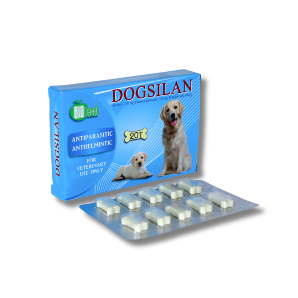 დოგსილანი (Dogsilan)